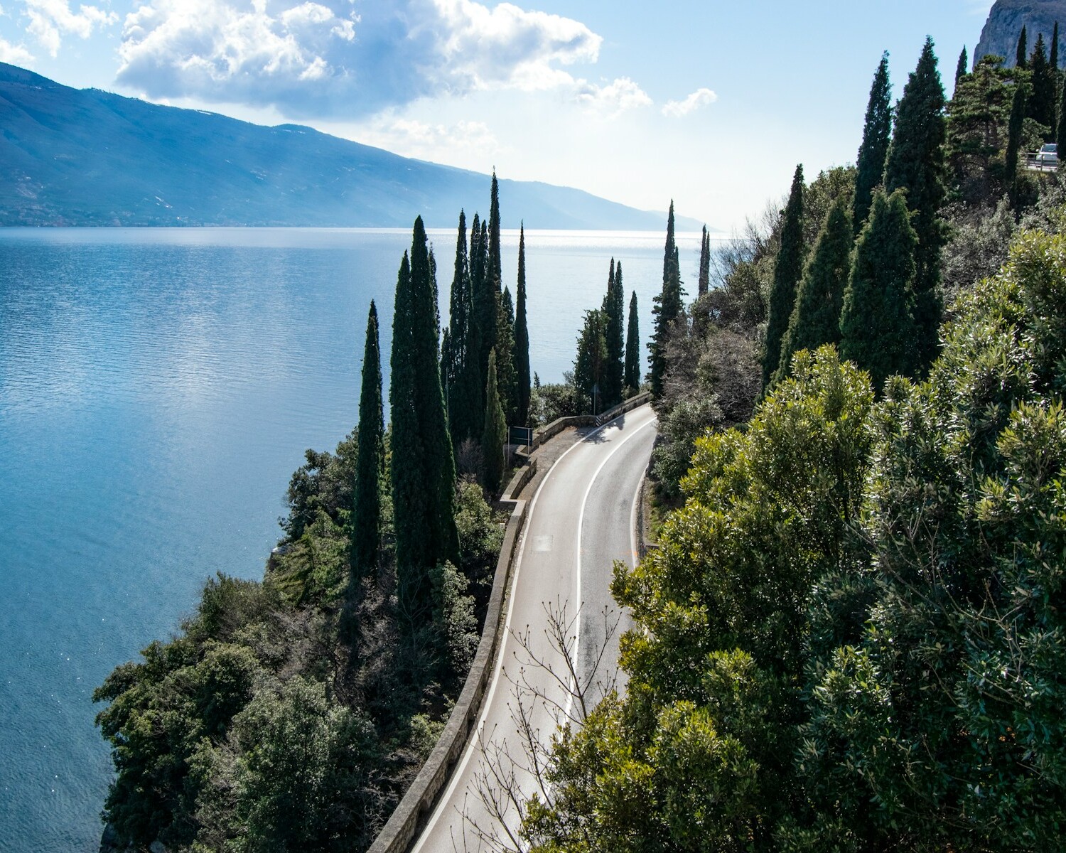 green trees beside body of water under blue sky during daytime