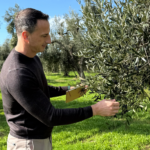 Professional Journal: Extra Virgin Olive Oil Tasting Course