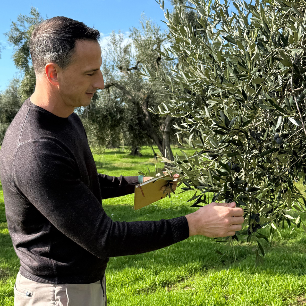 Professional Journal: Extra Virgin Olive Oil Tasting Course