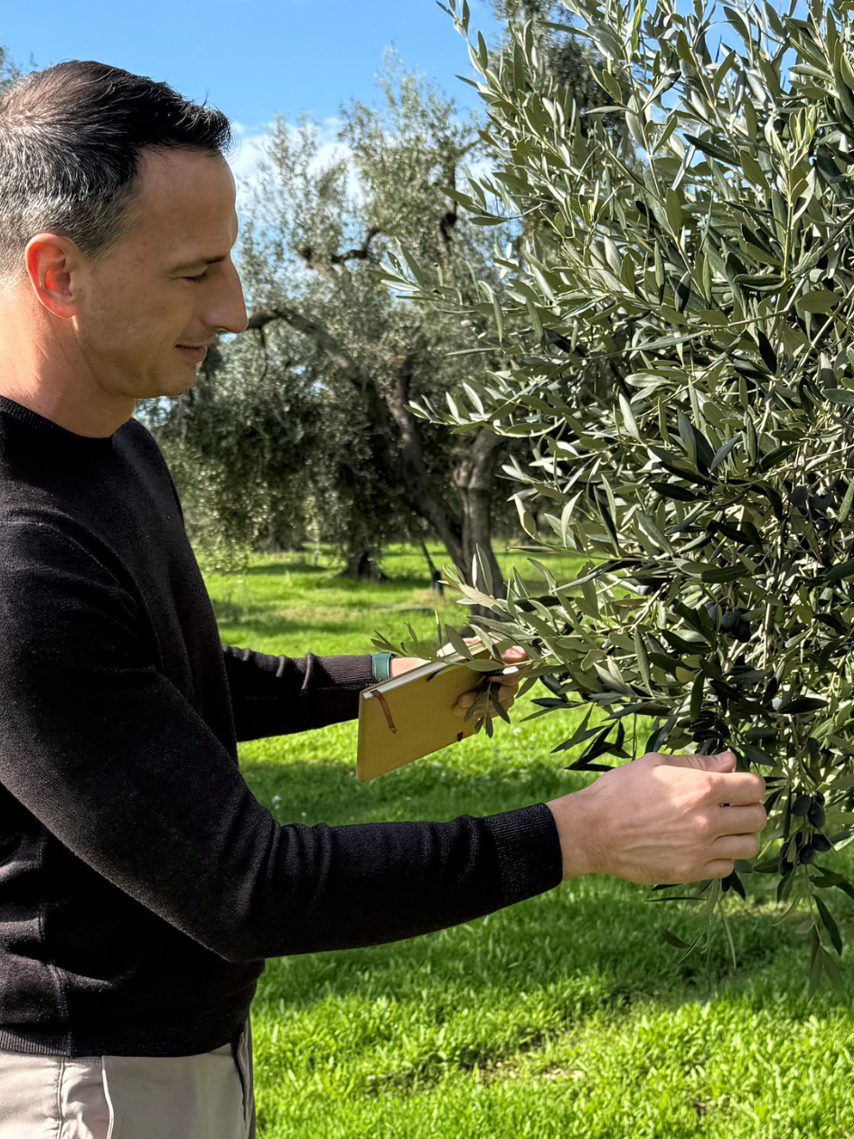 Professional Journal: Extra Virgin Olive Oil Tasting Course