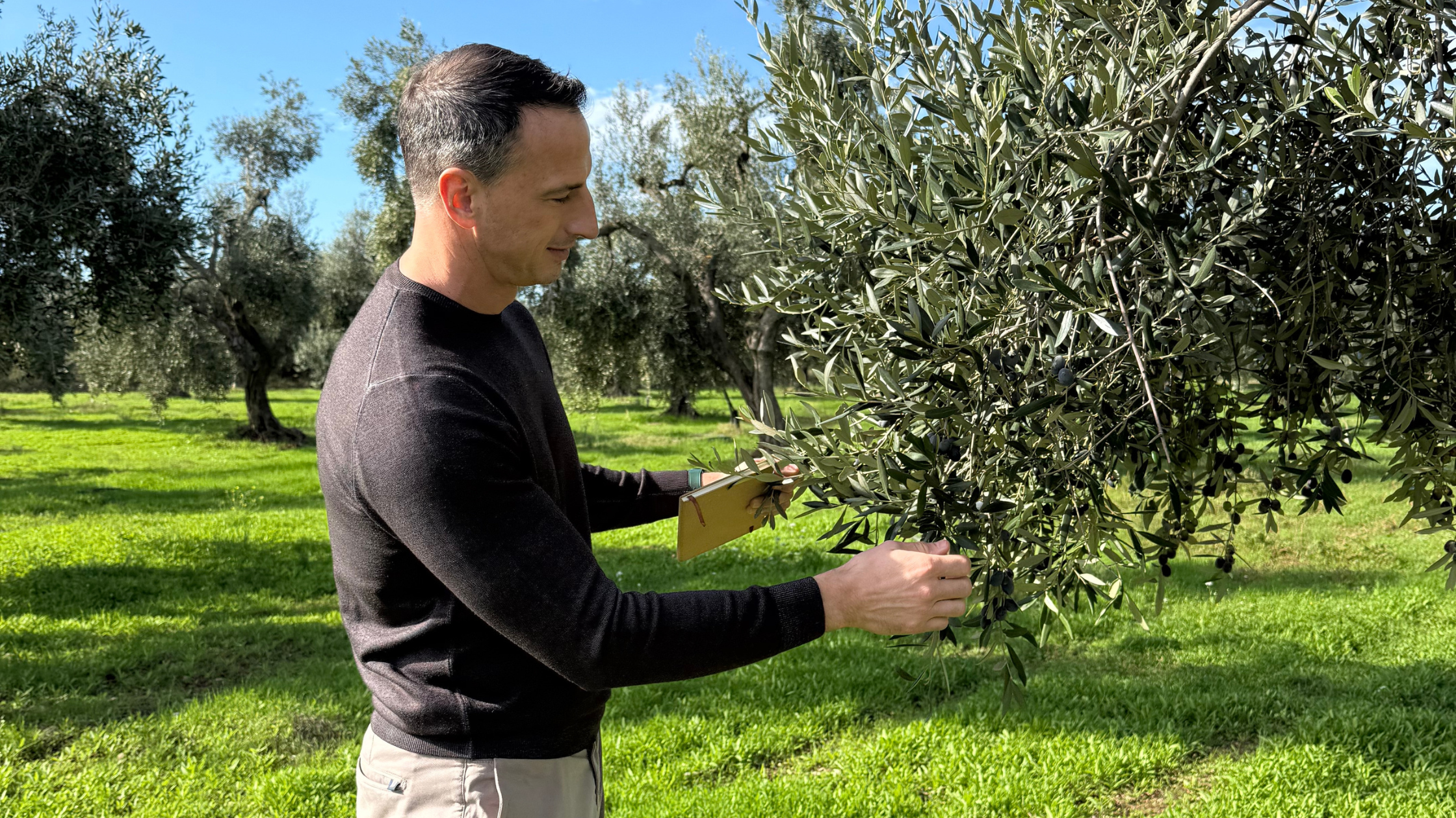 Professional Journal: Extra Virgin Olive Oil Tasting Course