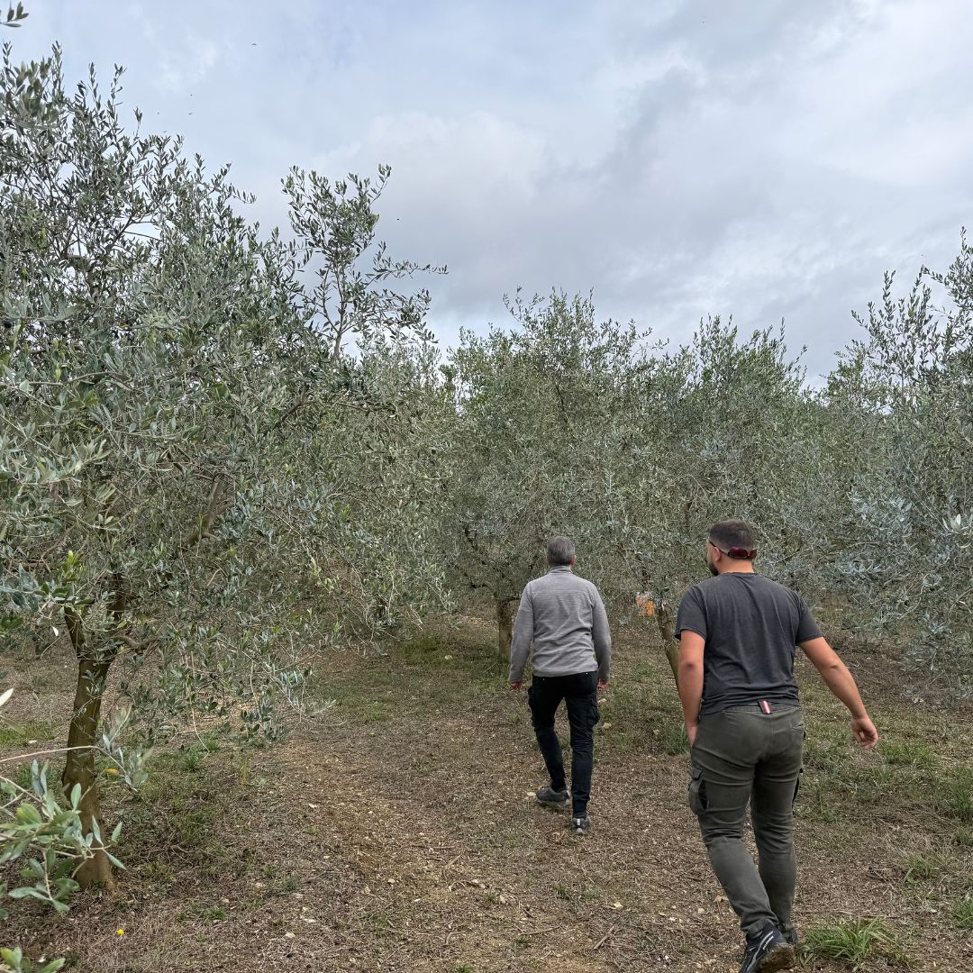 Nick at Frantoio Ambrosio